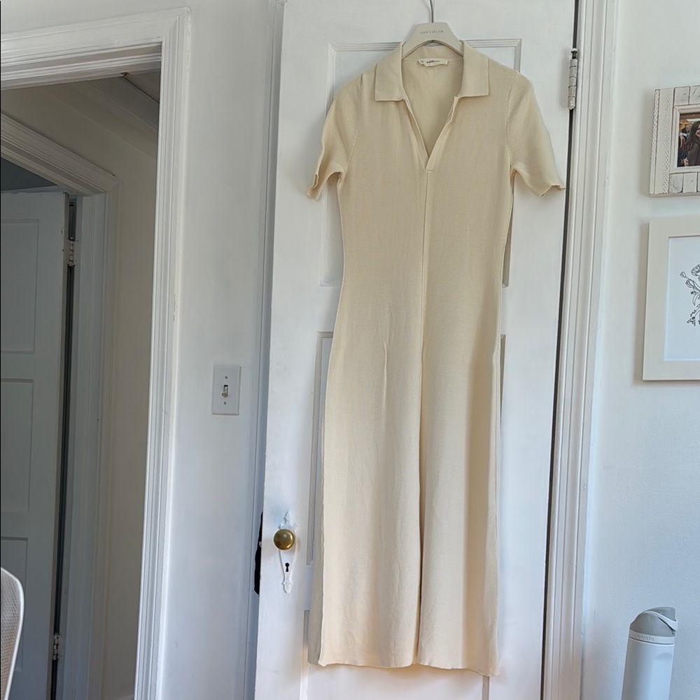 Everlane Viscose Knit Polo Midi Dress